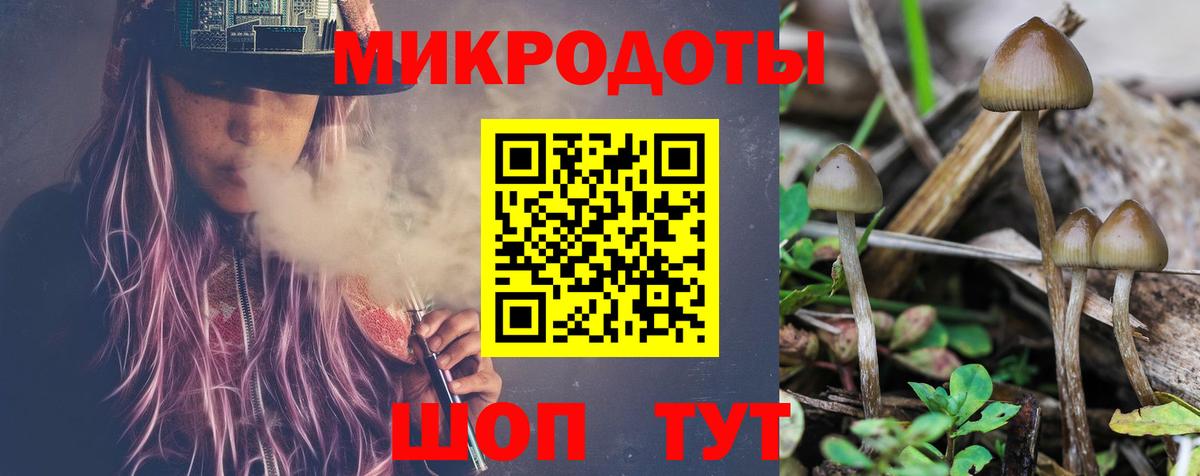 Галлюциногенные грибы GOLDEN TEACHER Геленджик